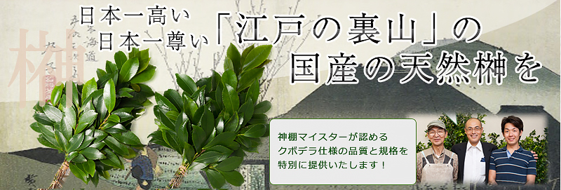 江戸の裏山の国産の天然榊